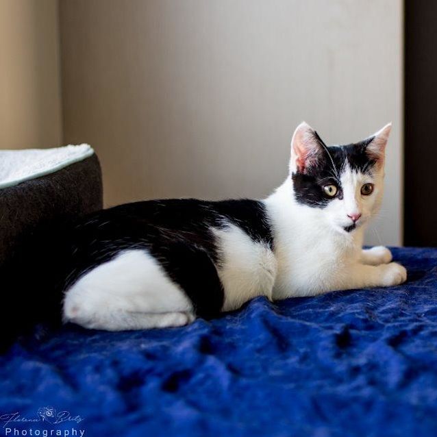 Photo of Bobby (Baby)