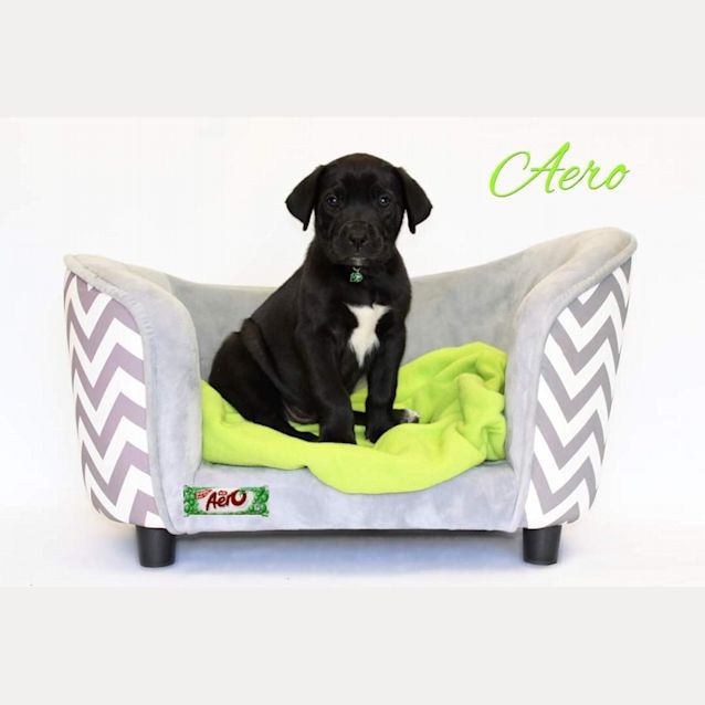 Photo of Aero