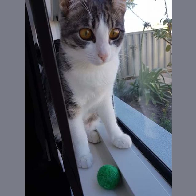 Photo of Chloe