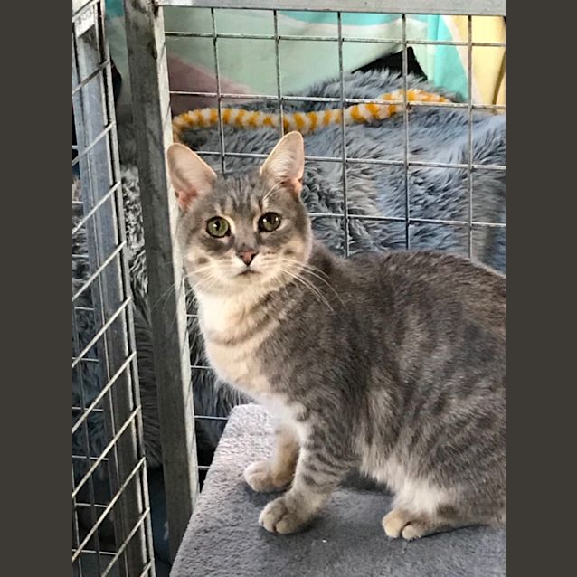 Photo of Archer 
