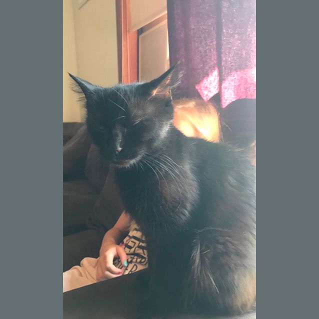 Photo of Kali