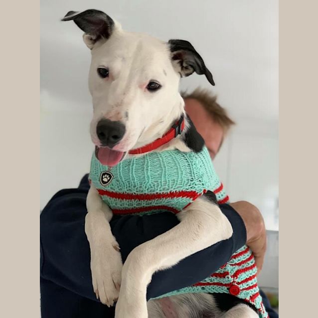 Photo of Sally