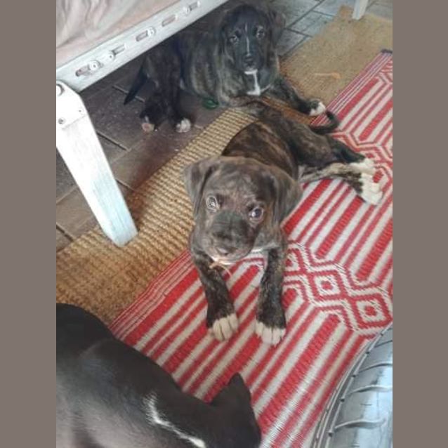 Photo of Mellie Db475