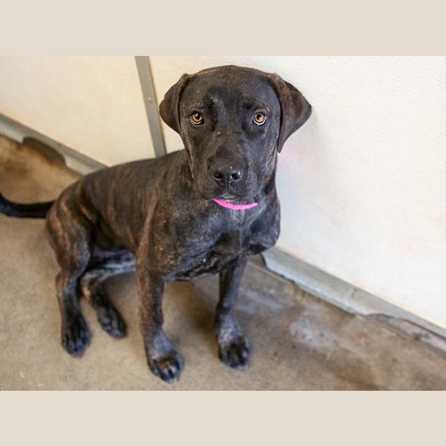 Photo of Renee (1693)