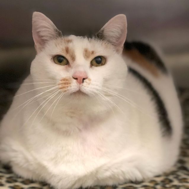 Photo of Tammy
