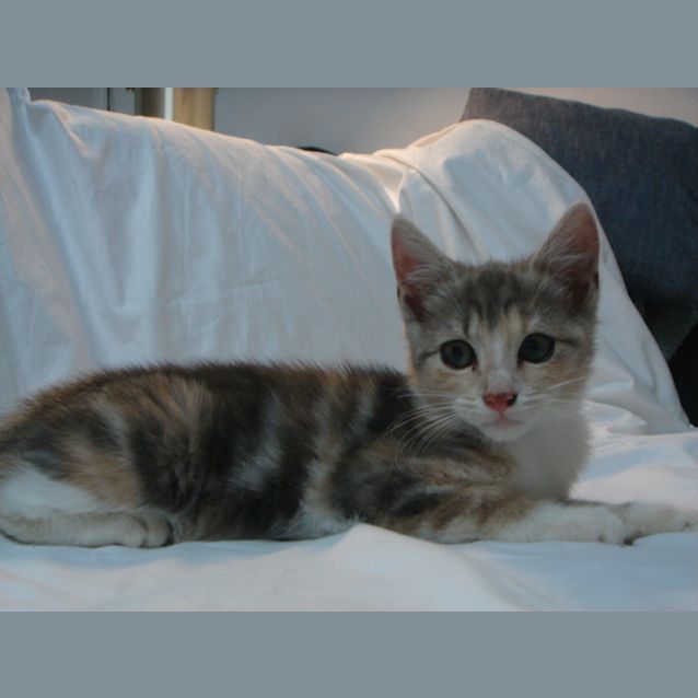 Photo of Lexi