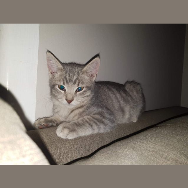 Photo of Jive