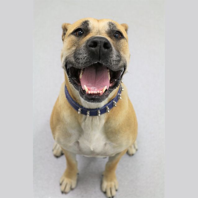 Photo of Betty