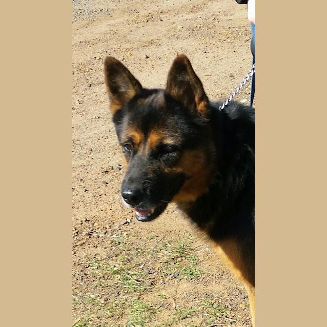 Photo of Layla