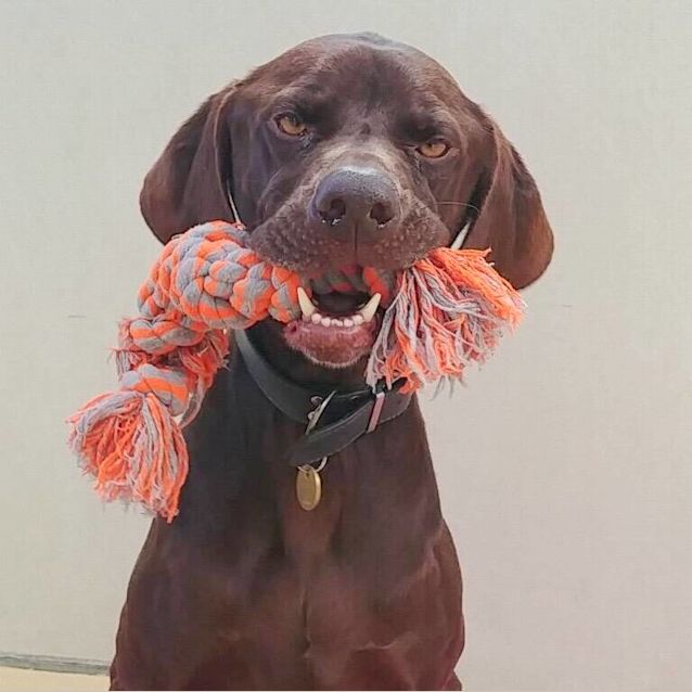 Photo of Duke
