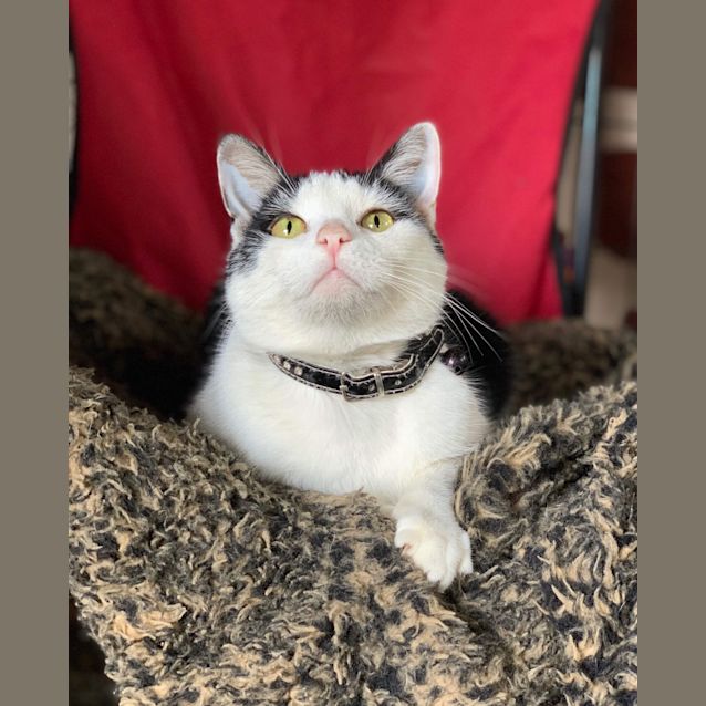 Photo of Dotti