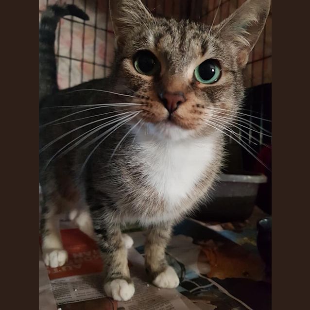 Photo of Edith 
