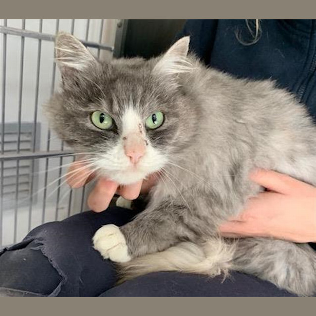 Photo of Storm