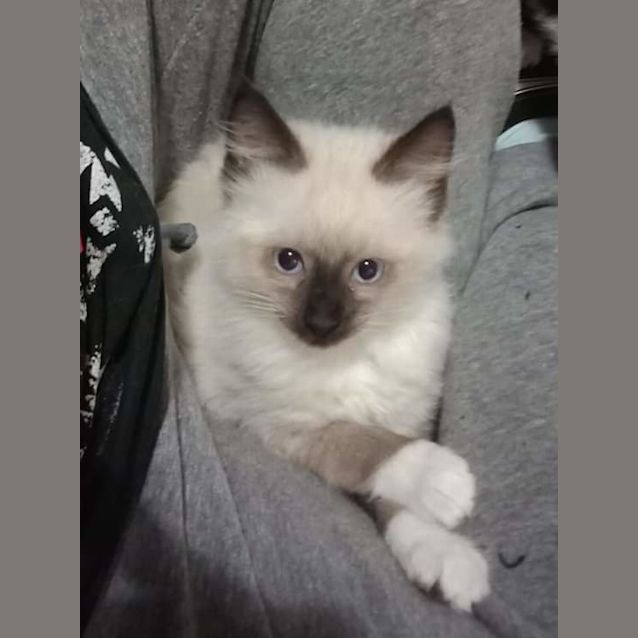 Photo of Wilbur