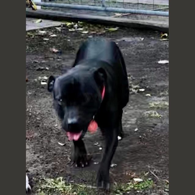 Photo of 🎀 Trixie 🎀