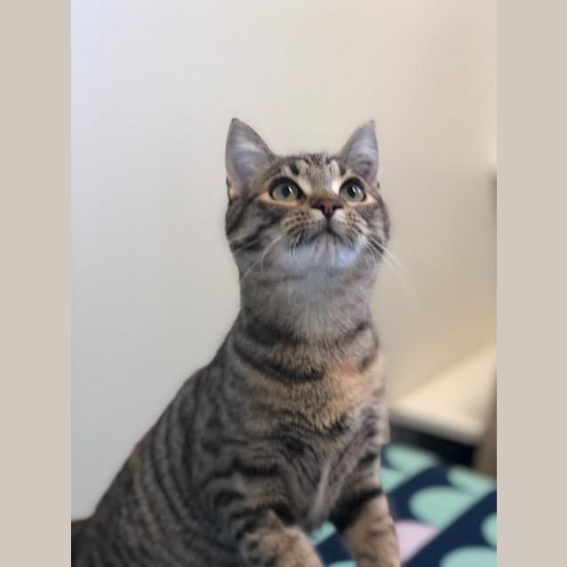 Photo of Jill