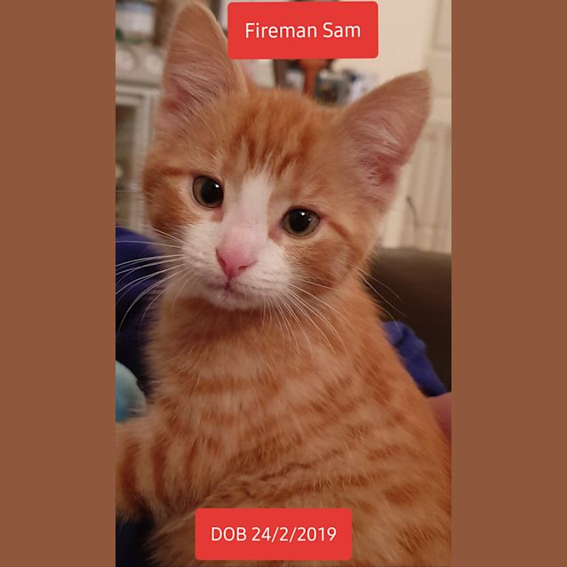 Photo of Fireman Sam