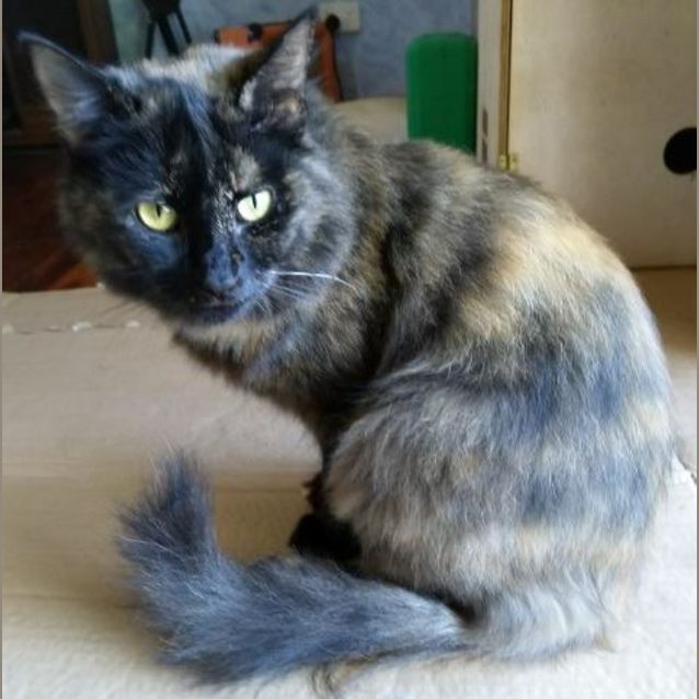 Photo of Isla