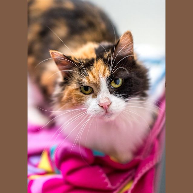 Photo of Tammy