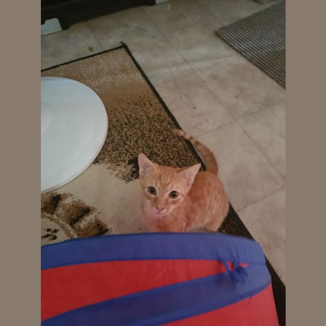 Photo of Beau On Sale