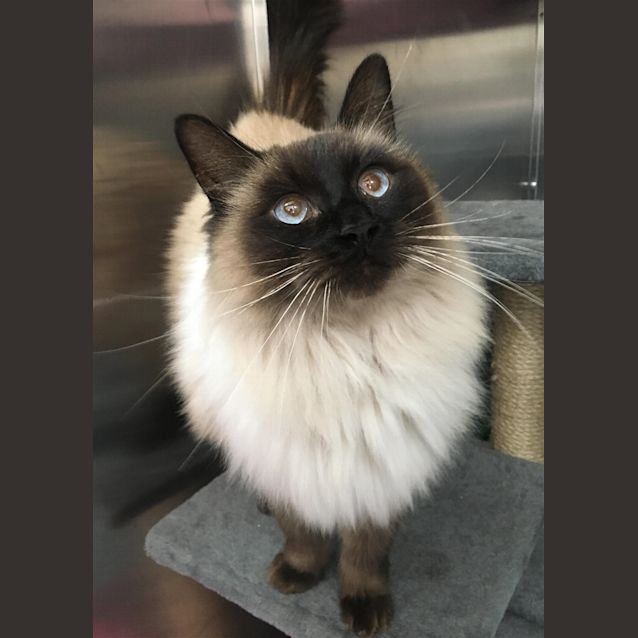 Photo of Nadia