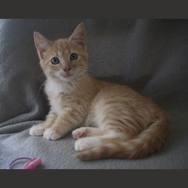 Photo of Kiara 