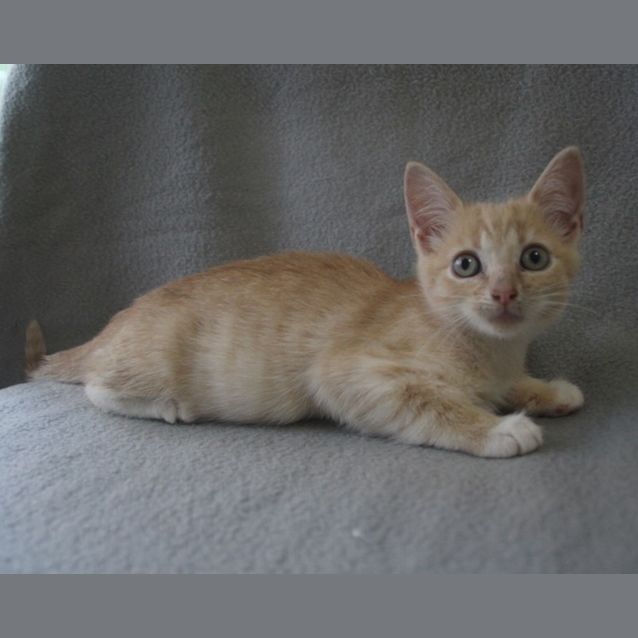 Photo of Felicity 