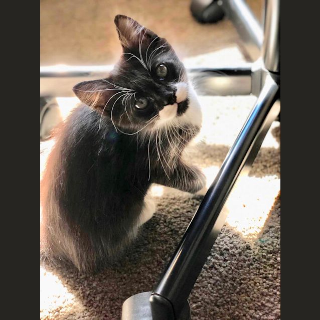 Photo of Arthur 💚