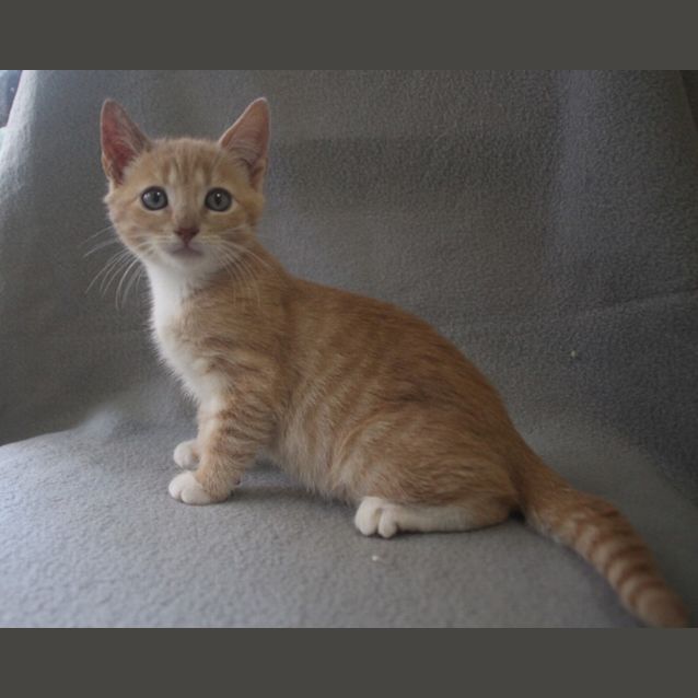 Photo of Otto 