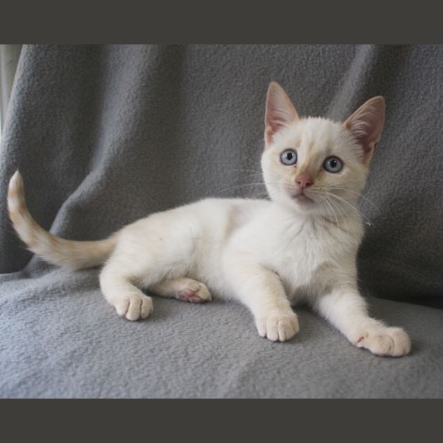 Photo of Yuki 