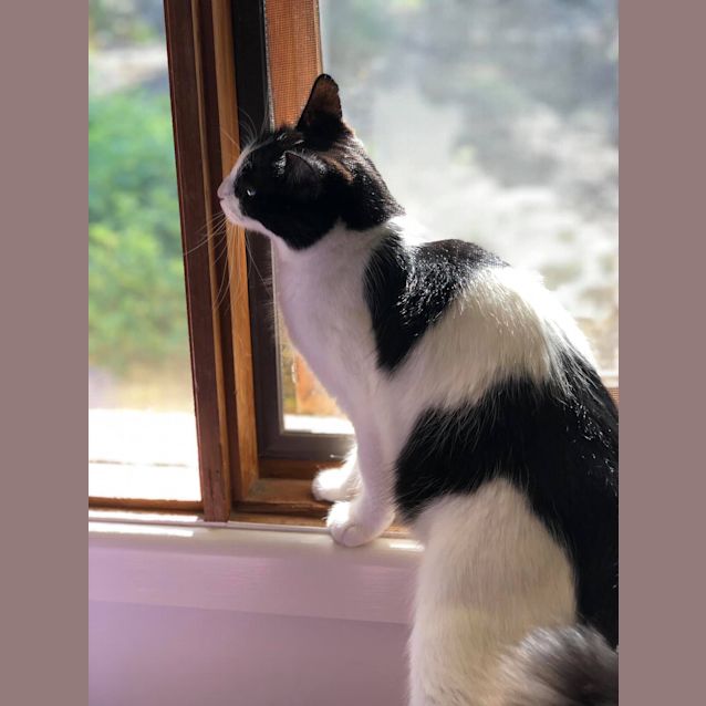 Photo of Maggie 💖