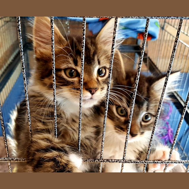 Photo of Felix & Floyd