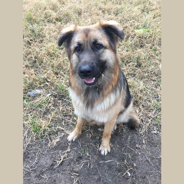 Photo of Kora   Meet And Greet Arranged