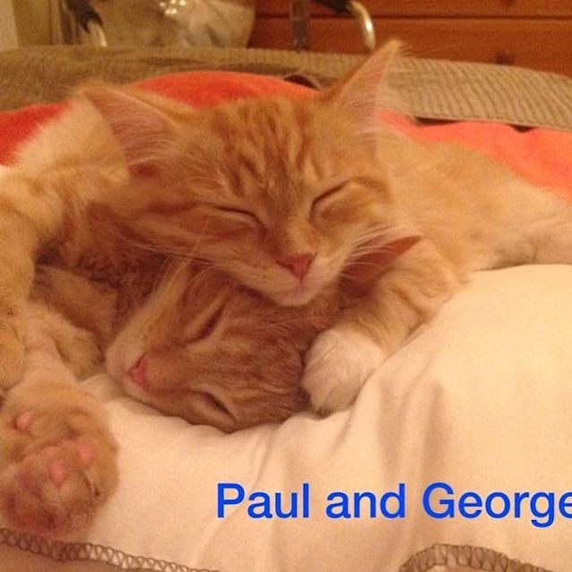 Photo of Paul
