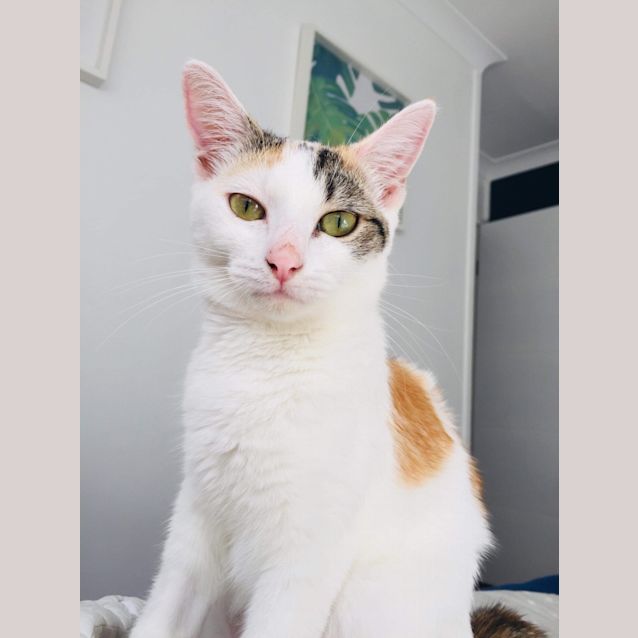 Photo of Addie