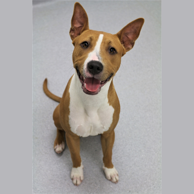 Photo of Nellie