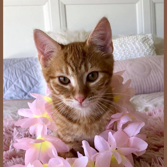 Photo of Charlie 