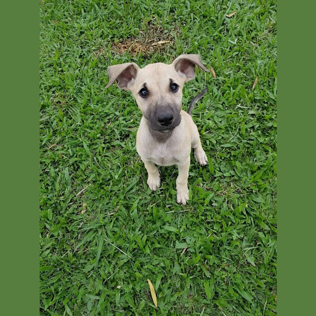 Photo of Little Hope