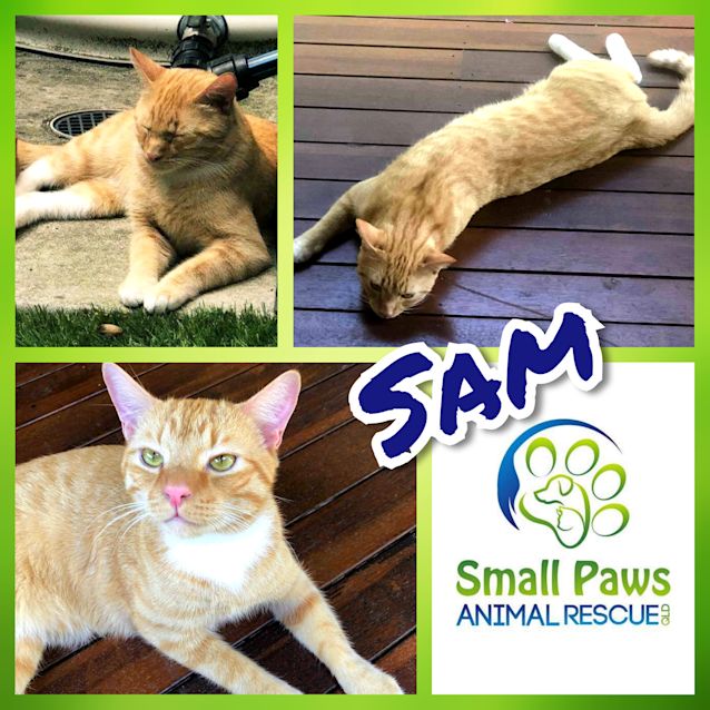 Photo of Sam