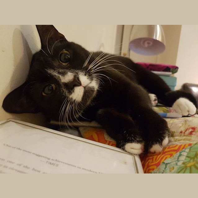 Photo of Meeka