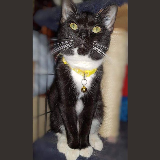 Photo of Bella 