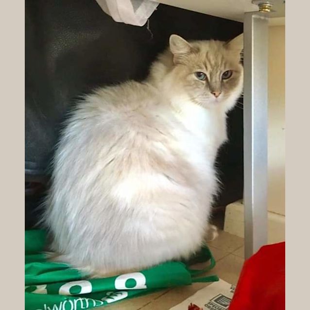 Photo of Lacie