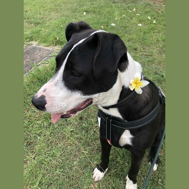 Photo of Cash