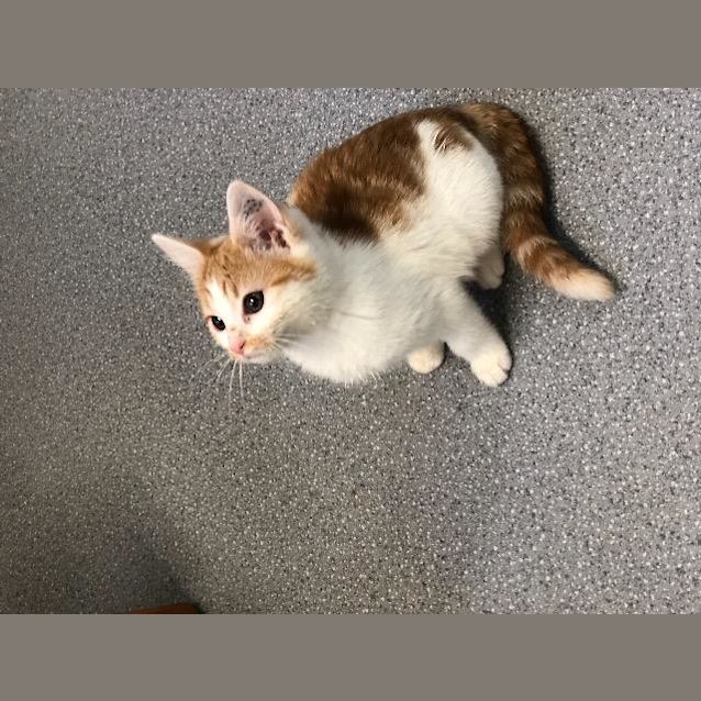 Photo of Emmy
