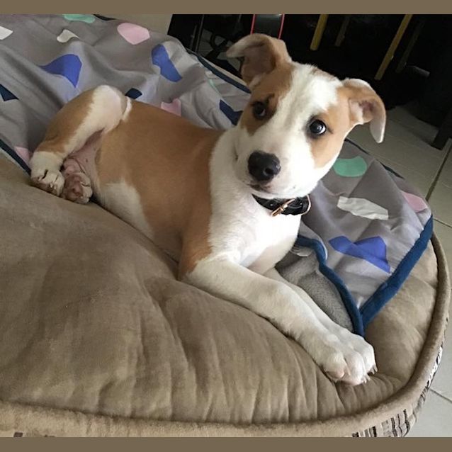 Photo of Archibald 💚