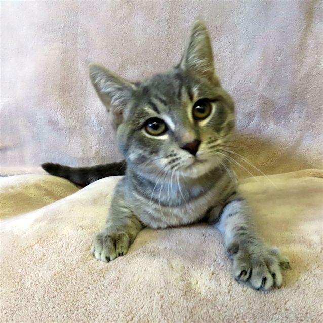 Photo of Gus