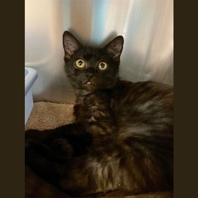Photo of Susan
