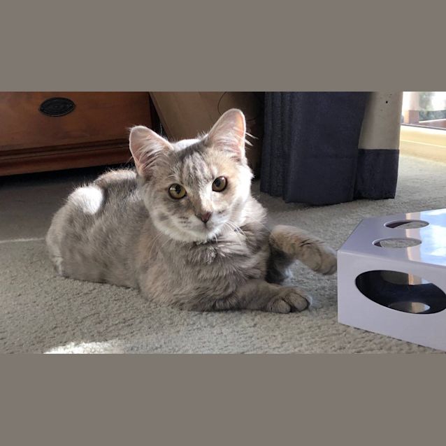 Photo of Izzy 