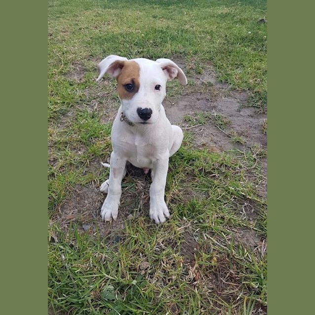 Photo of Mortimer 💚