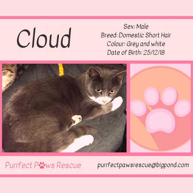 Photo of Cloud